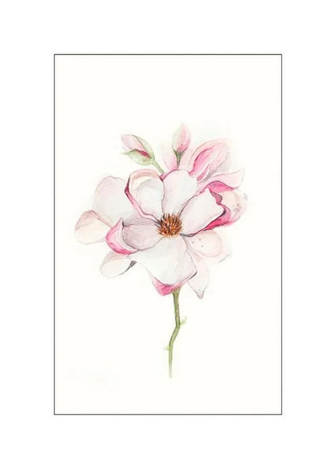 Komar Magnolia Blossom Wandbild Rosa