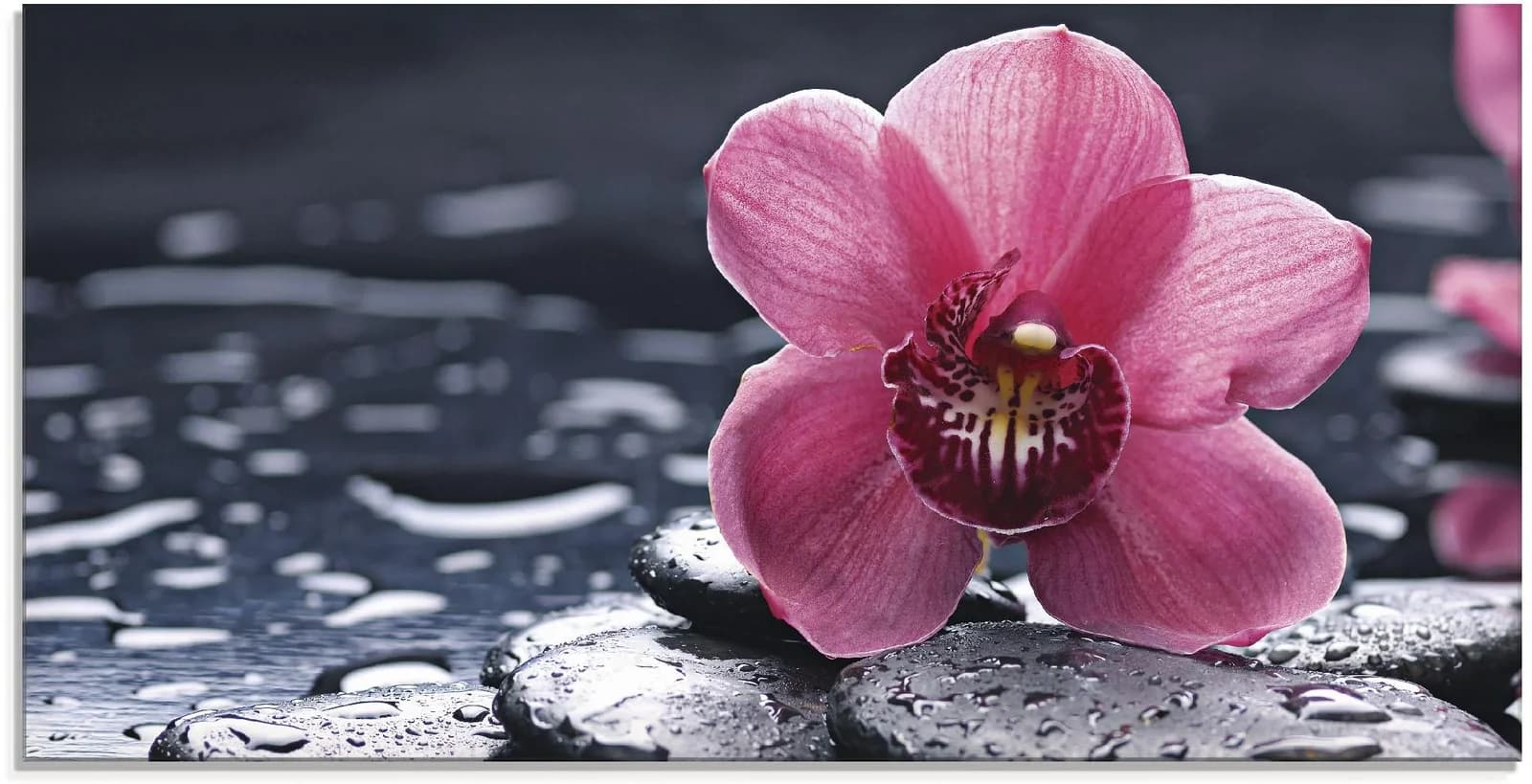 ARTLAND Glasbild Stillleben mit Kiesel und Orchidee Pink