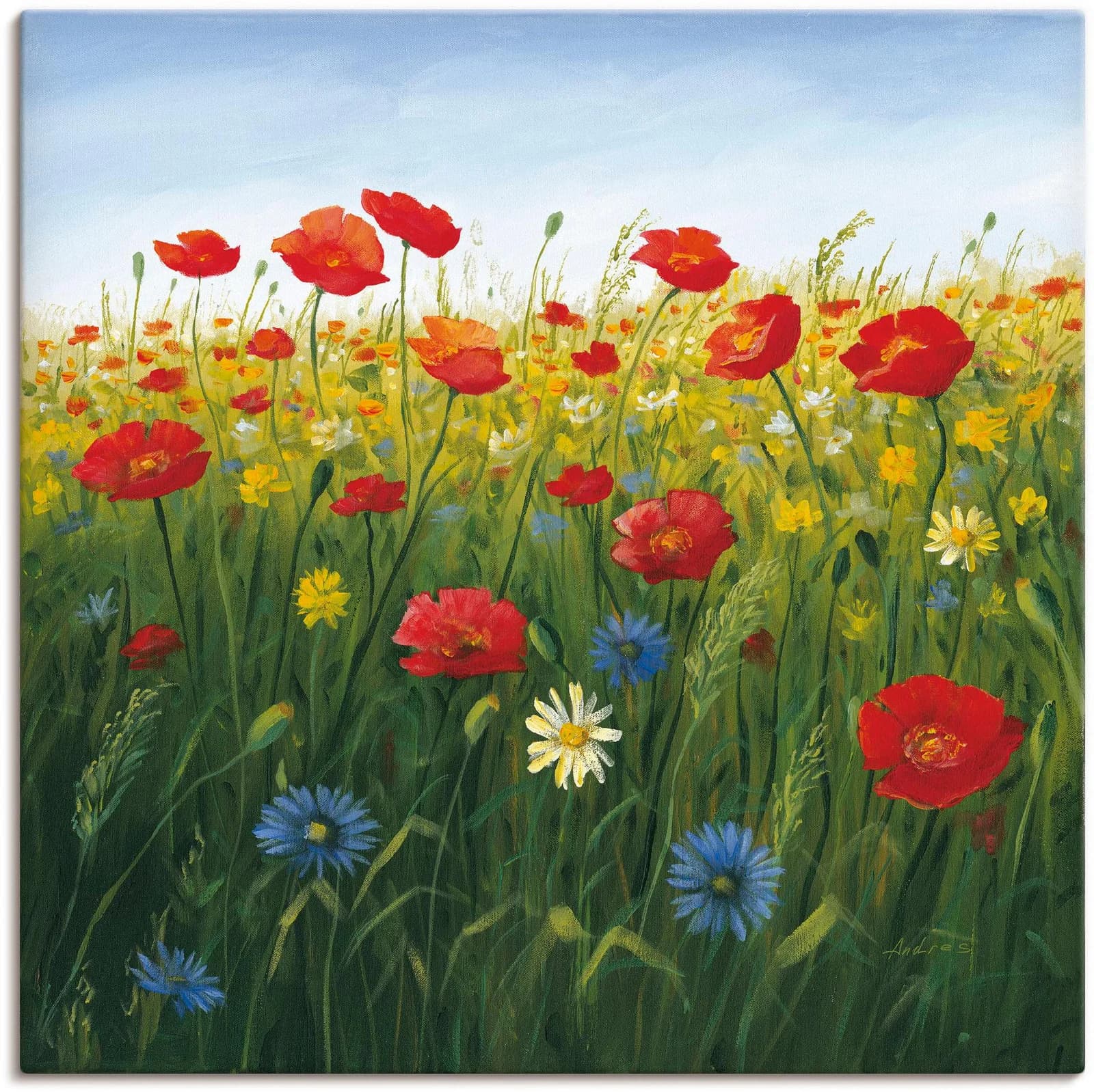 ARTLAND Wandbild Mohnblumen Landschaft I Grün Leinwand 30x30 cm