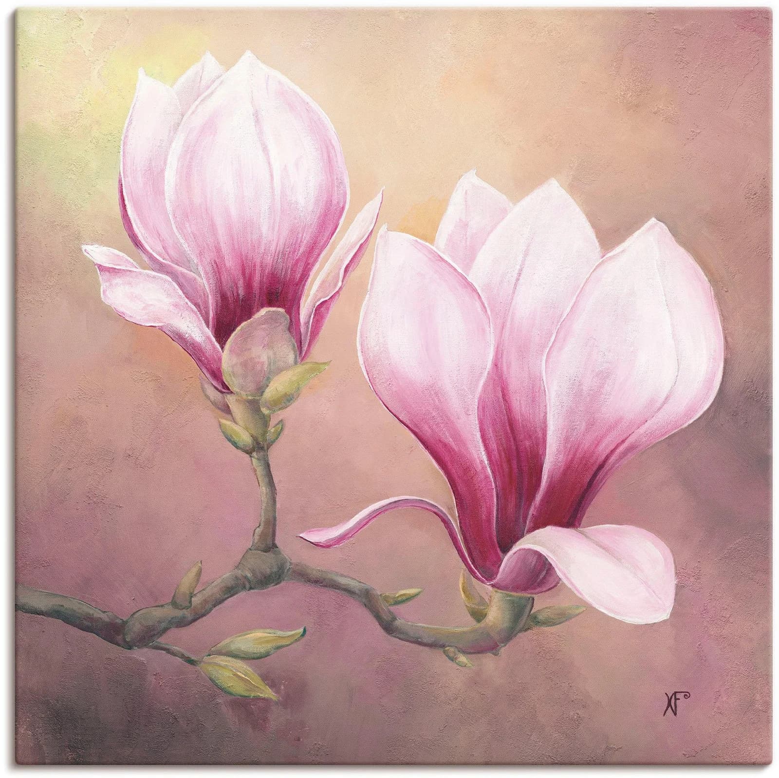 ARTLAND Leinwandbild Späte Magnolie Lila 50x50 cm