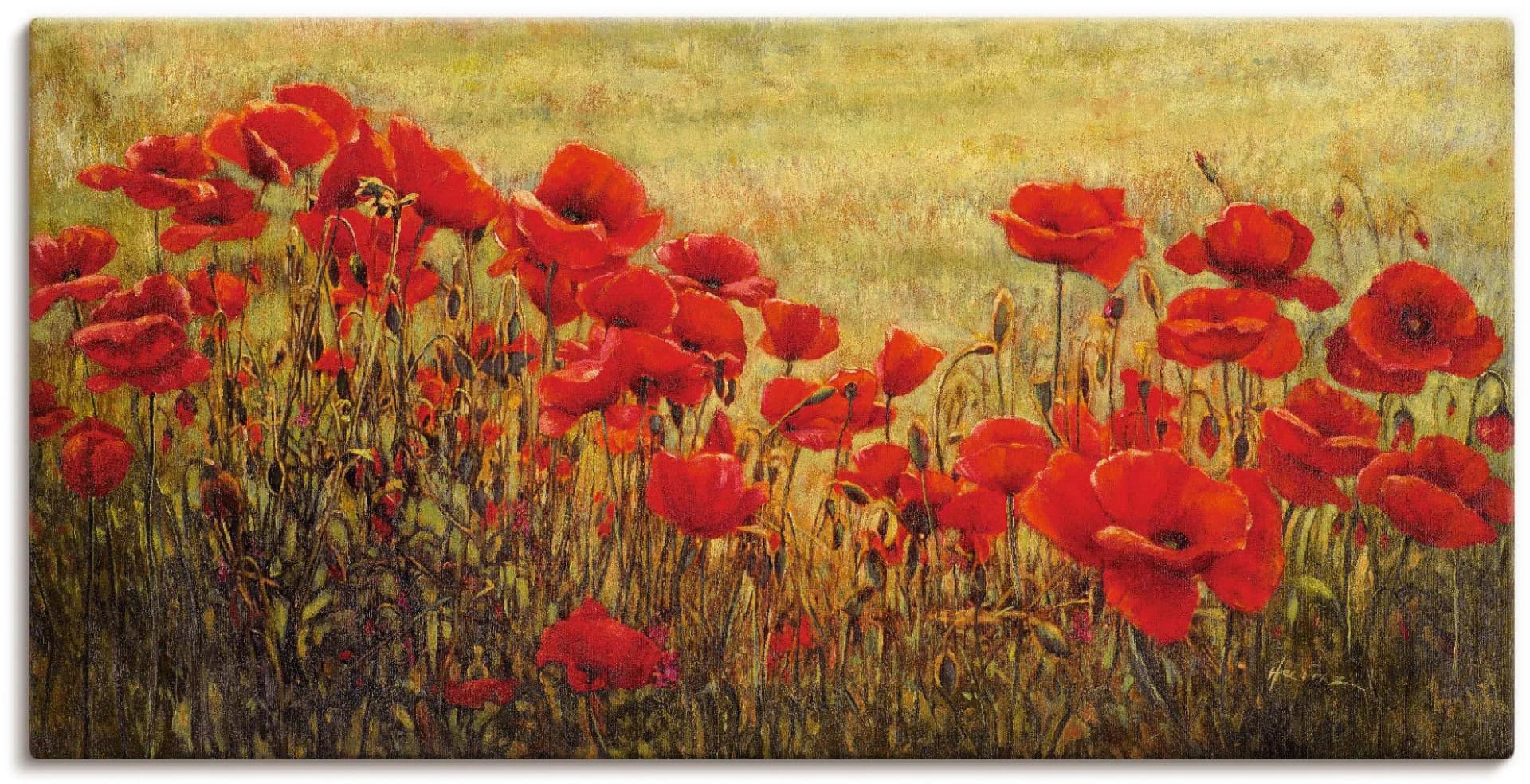 Artland Wandbild Mohnfeld Rot Blumenwiese