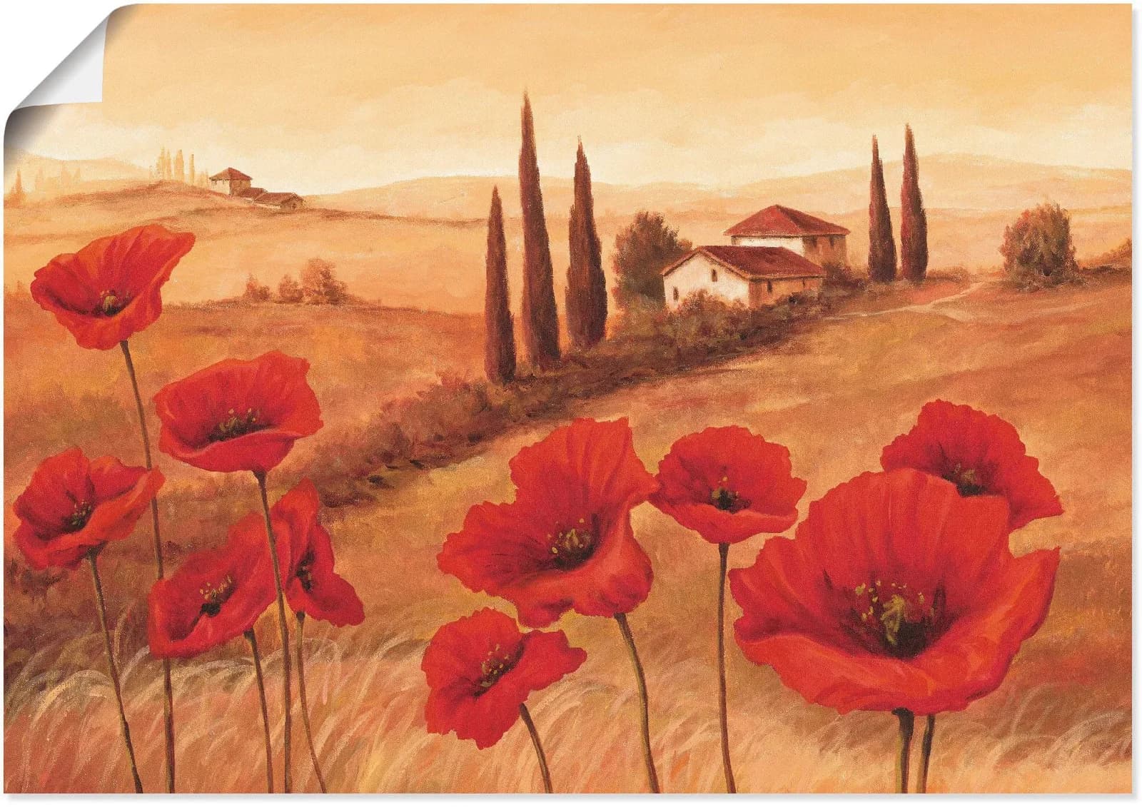 Artland Wandbild Mohnblumen in der Toskana Braun