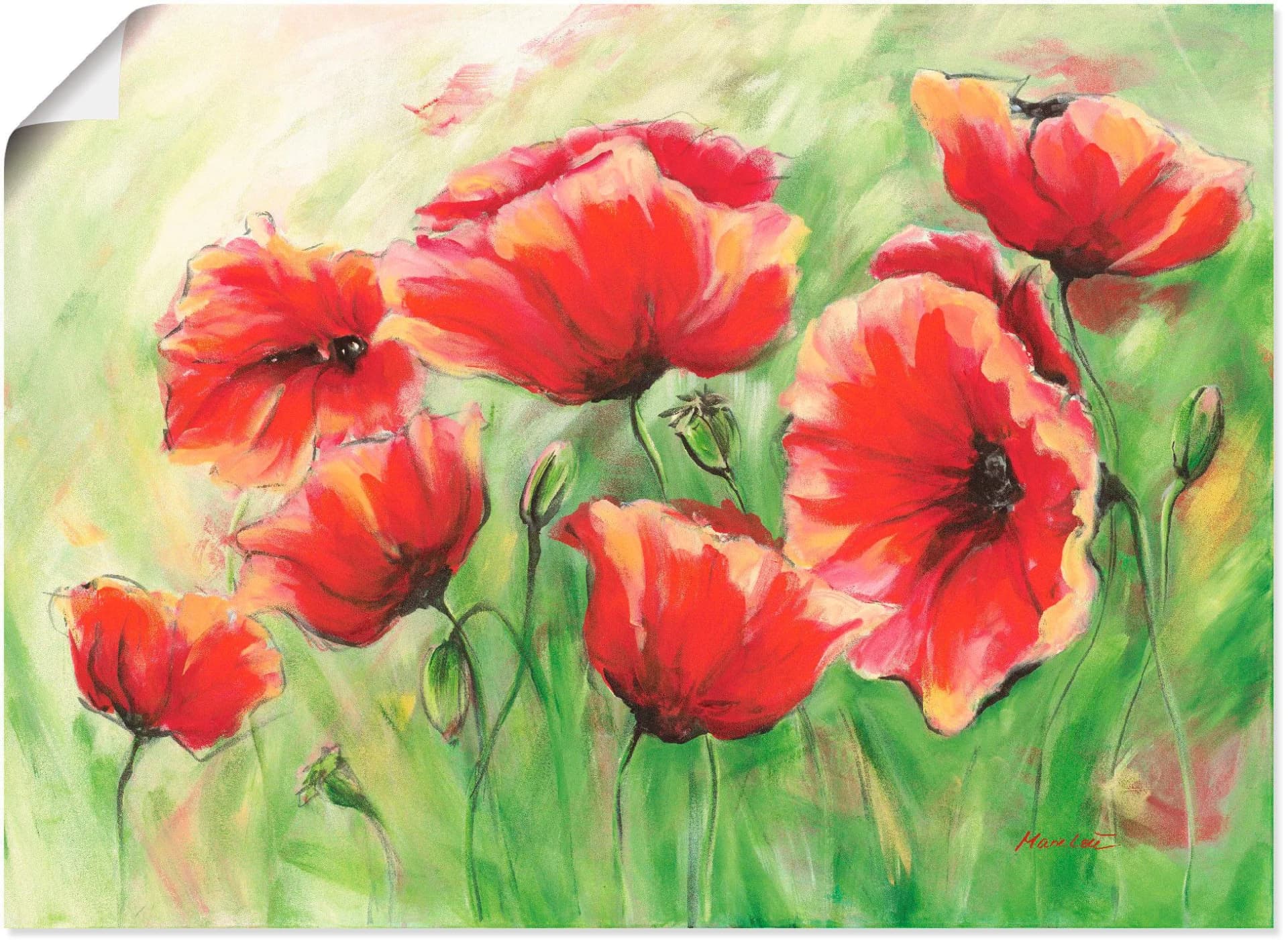 Artland Wandbild Rote Mohnblumen II Rot