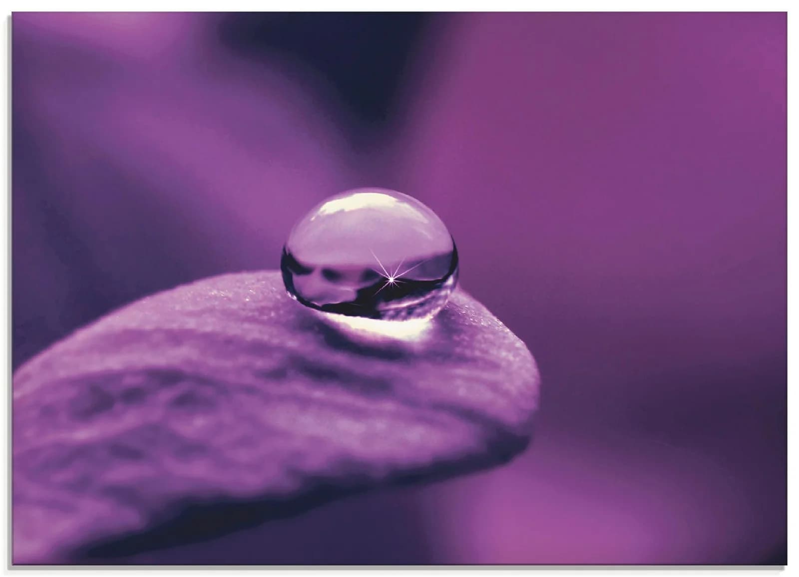 ARTLAND Glasbild Amethyst Lila 80x60 cm