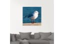 Artland Glasbild Möwe Vögel in verschiedenen Größen Bild 1