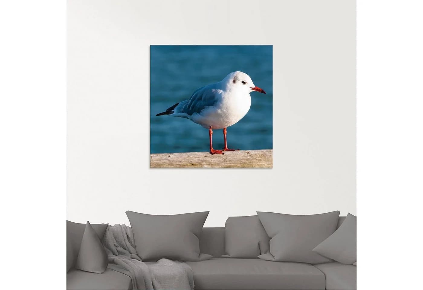 Artland Glasbild Möwe Vögel in verschiedenen Größen