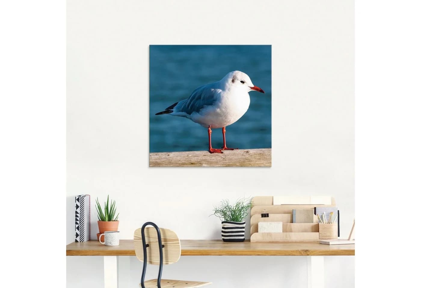 Artland Glasbild Möwe Vögel in verschiedenen Größen - Bild 3