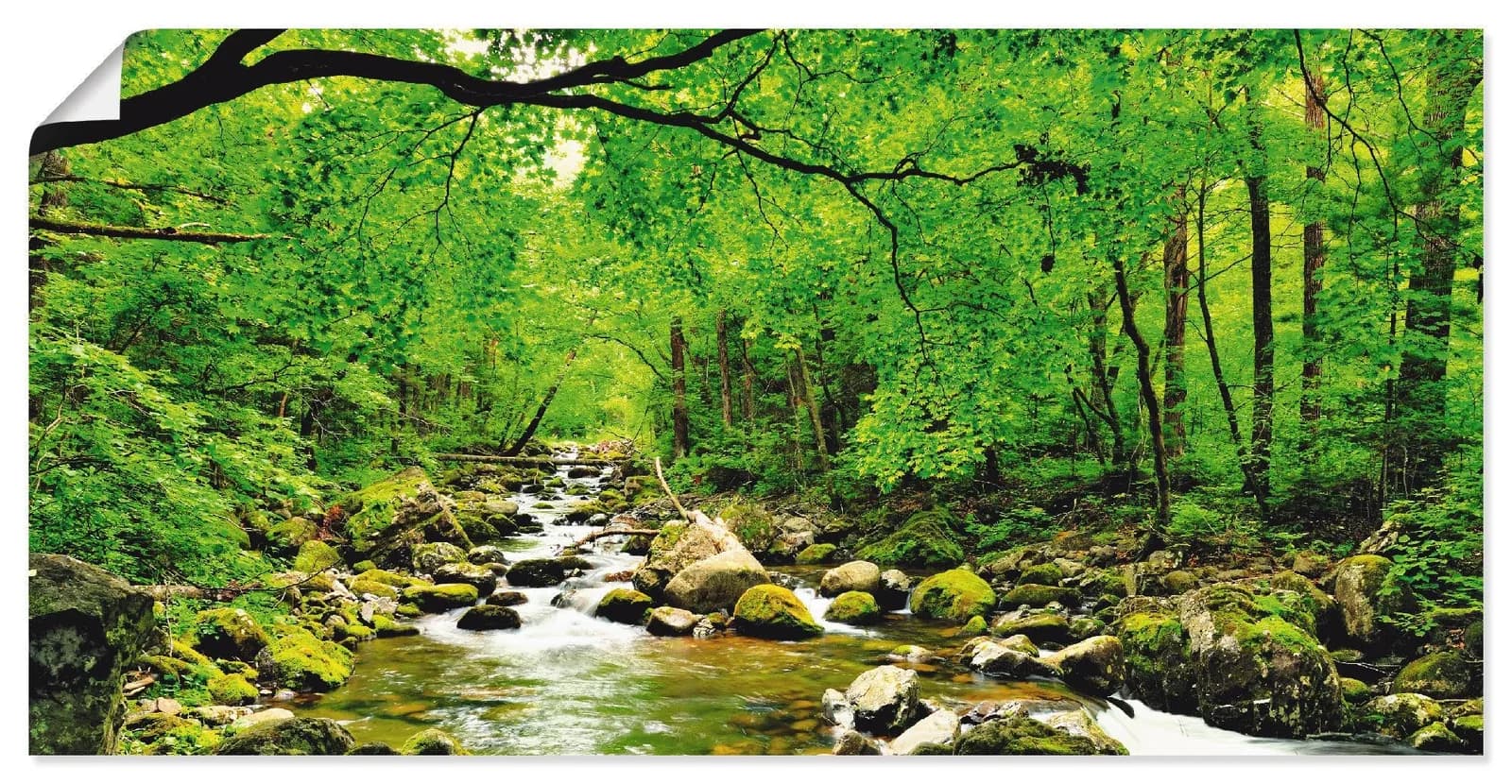 Artland Wandbild Herbstwald Fluss Smolny Grün Leinwand
