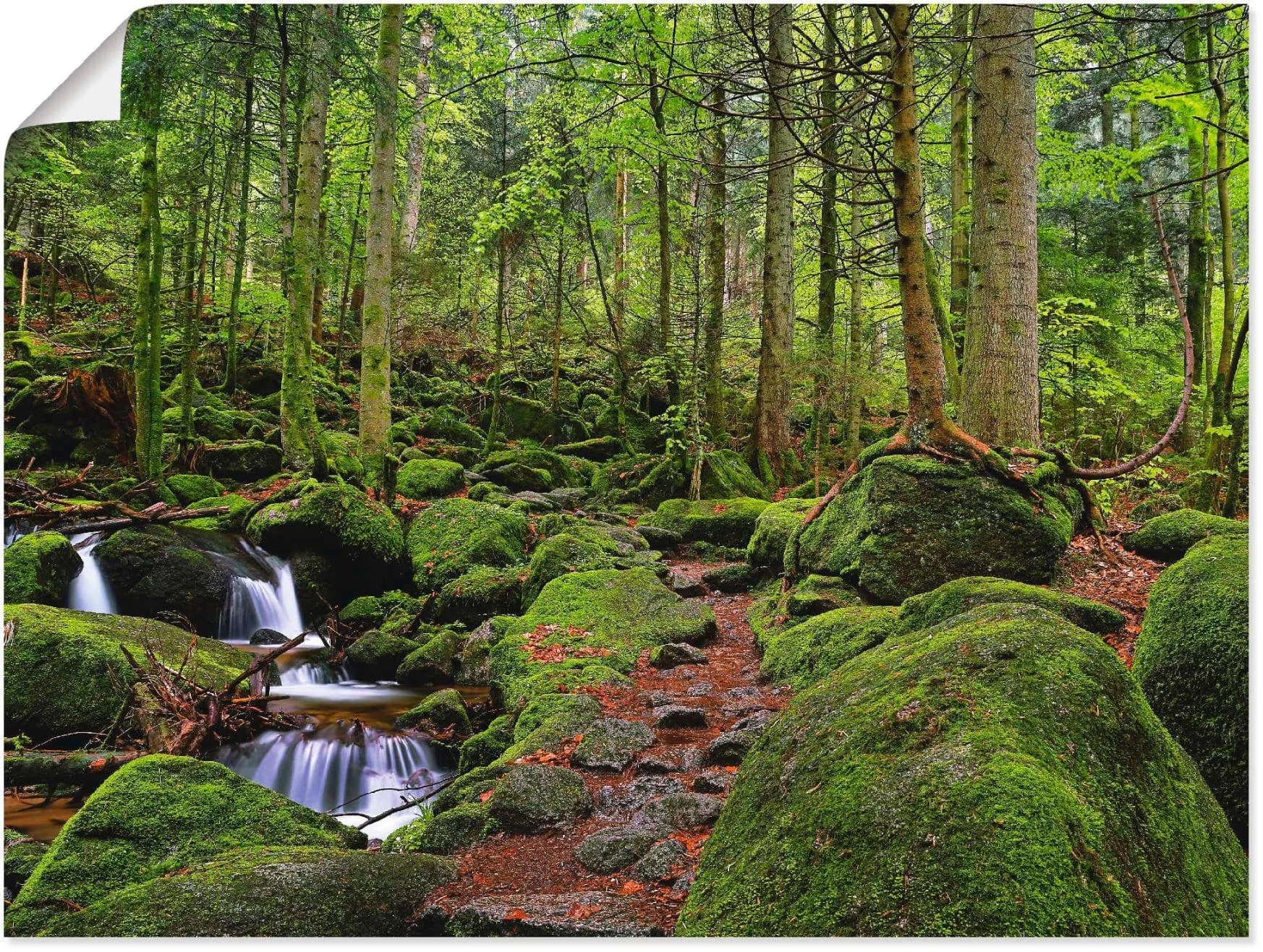 Artland Zauberwald Wandbild Grün