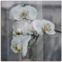 Artland Leinwandbild Weisse Orchideen auf Holzrahmen Bild 2