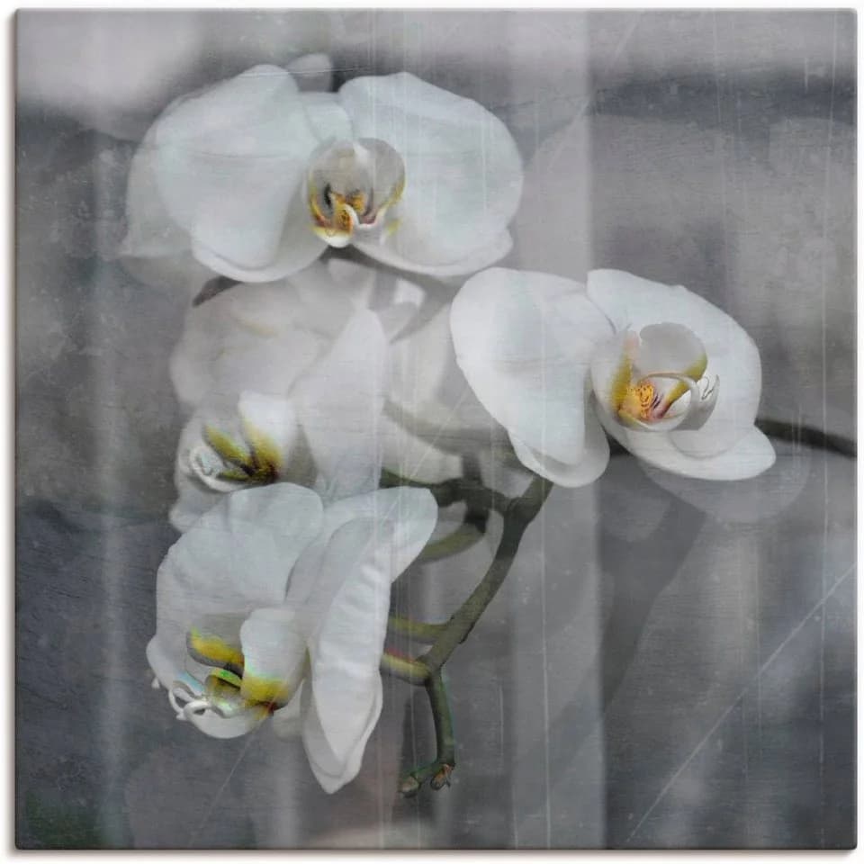 Artland Leinwandbild Weisse Orchideen auf Holzrahmen - Bild 2