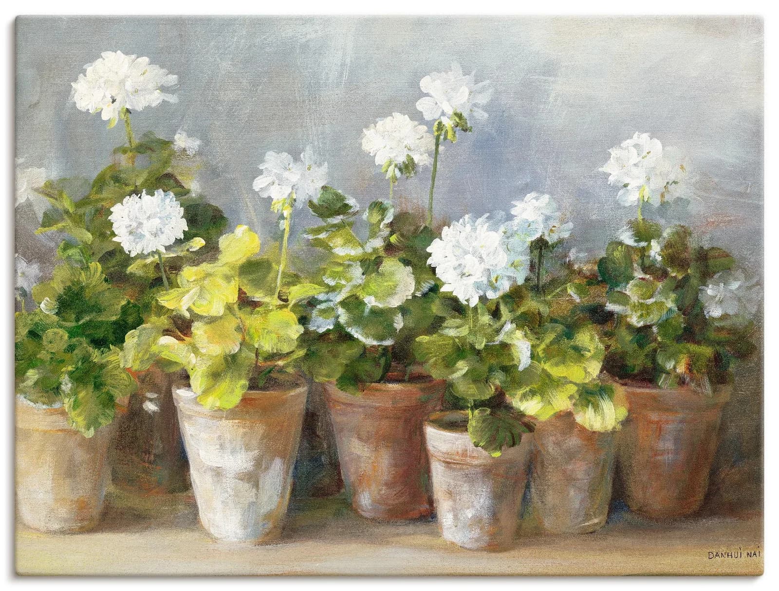 ARTLAND Leinwandbild Weiße Geranien Weiß 120x90 cm