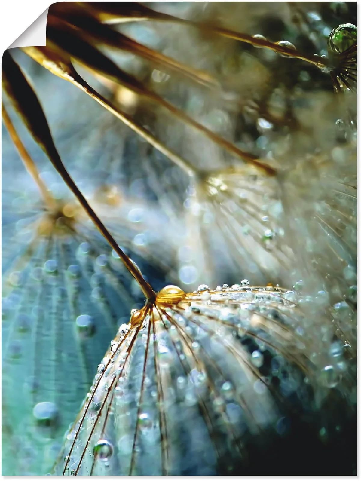 ARTLAND Poster Pusteblume Mystische Schönheit Blau