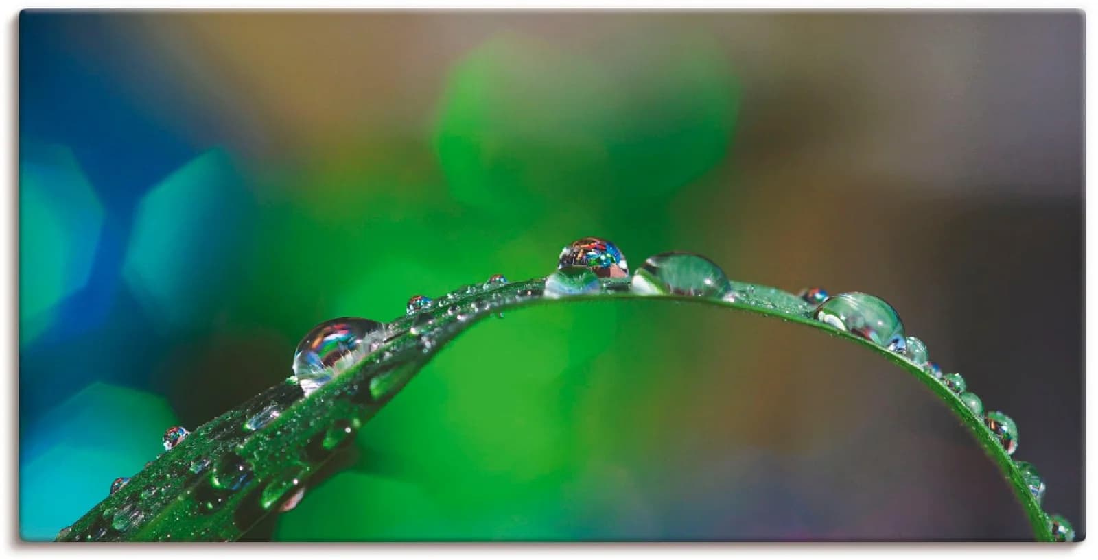 ARTLAND Leinwandbild Wassertropfen IV Grün auf Holzrahmen