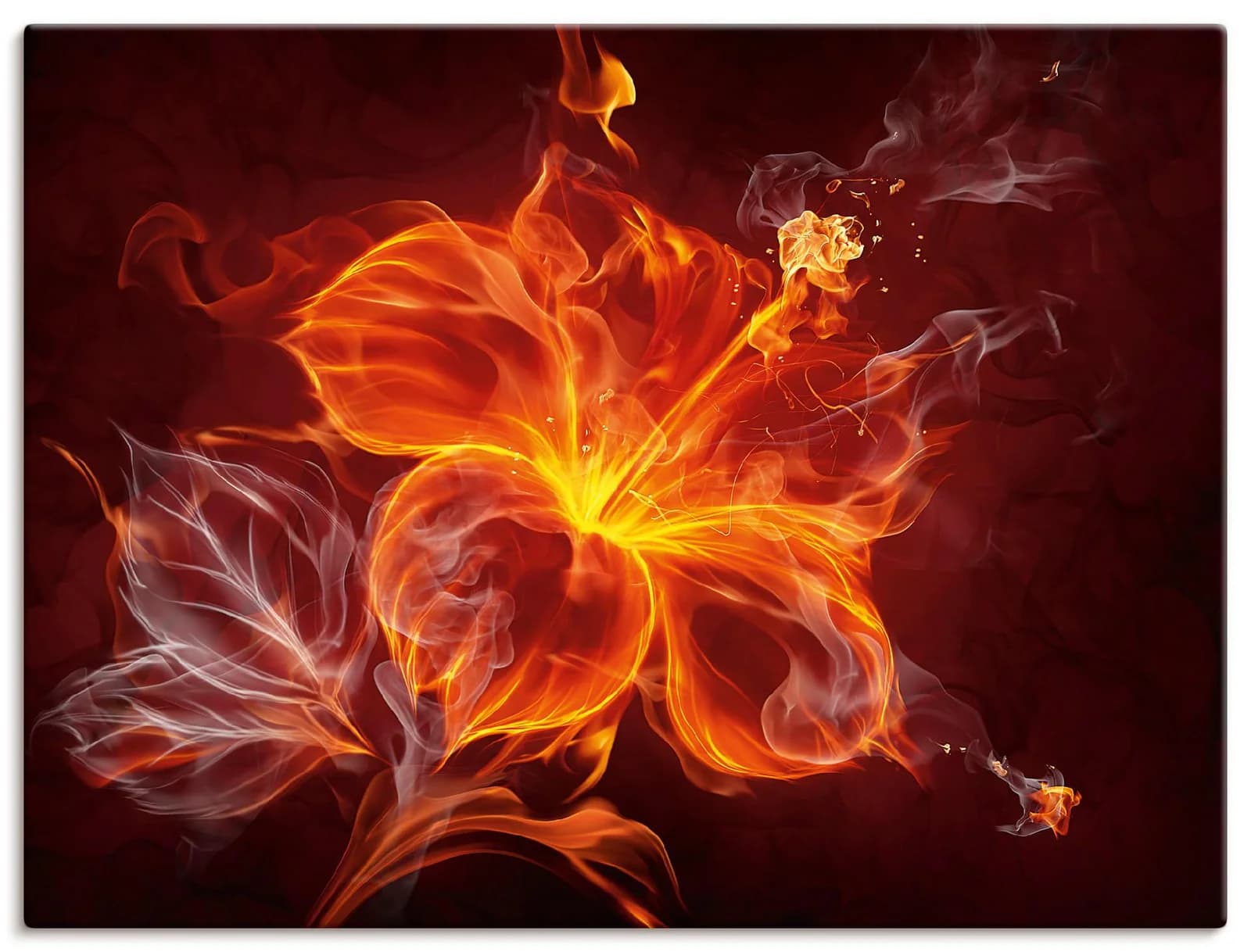 ARTLAND Wandbild Feuerblume Rot Leinwandbild 60x45 cm