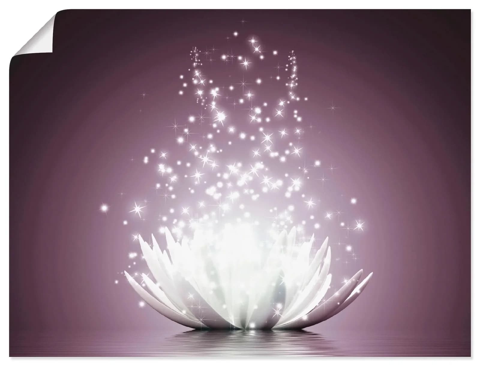 Wandbild ARTLAND Magie der Lotus-Blume Violett