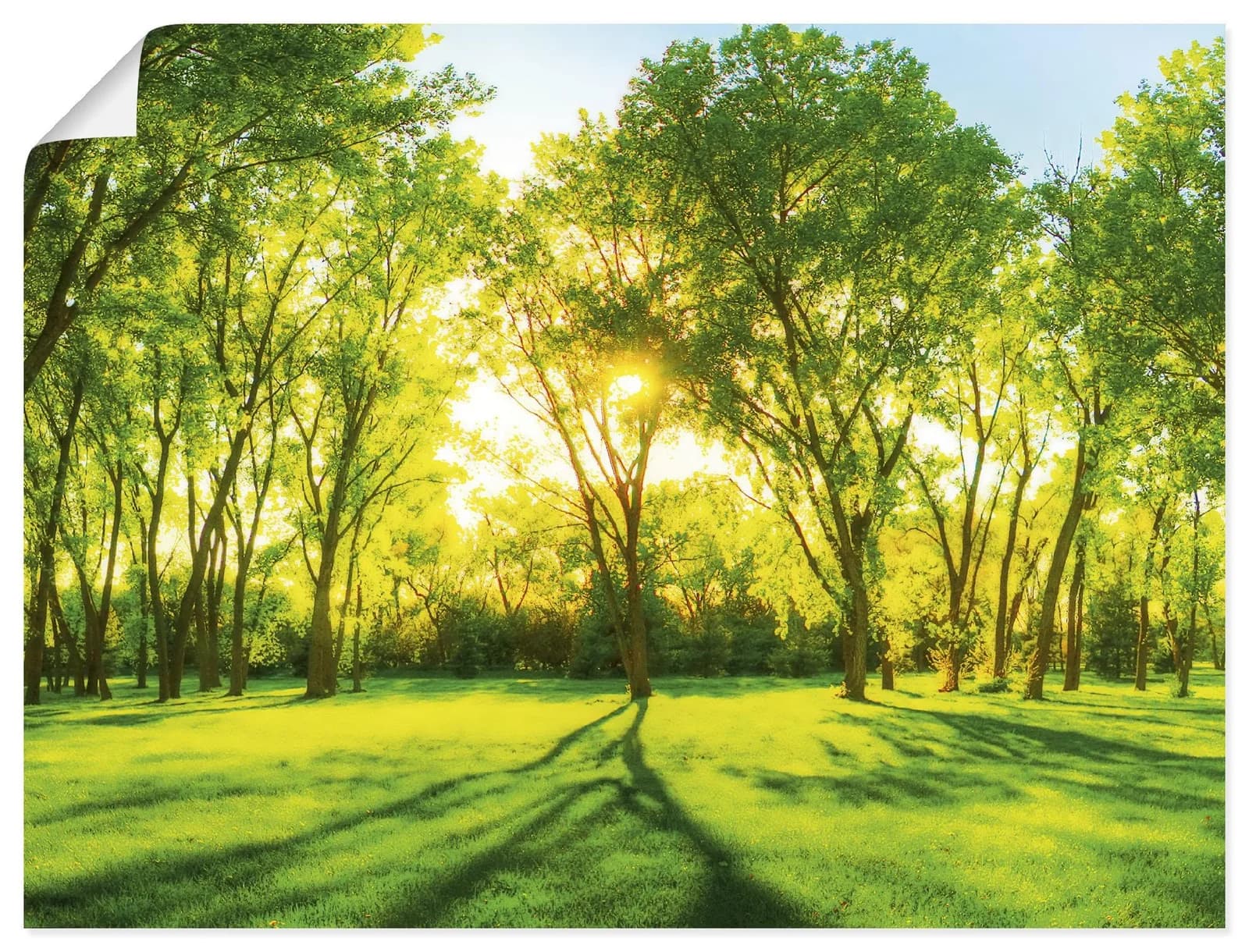 Poster ARTLAND Frühlingswärme II Grün Landschaft