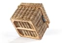 Kobolo Truhe Rattan Kubu Grey 50x50x45 cm Bild 5