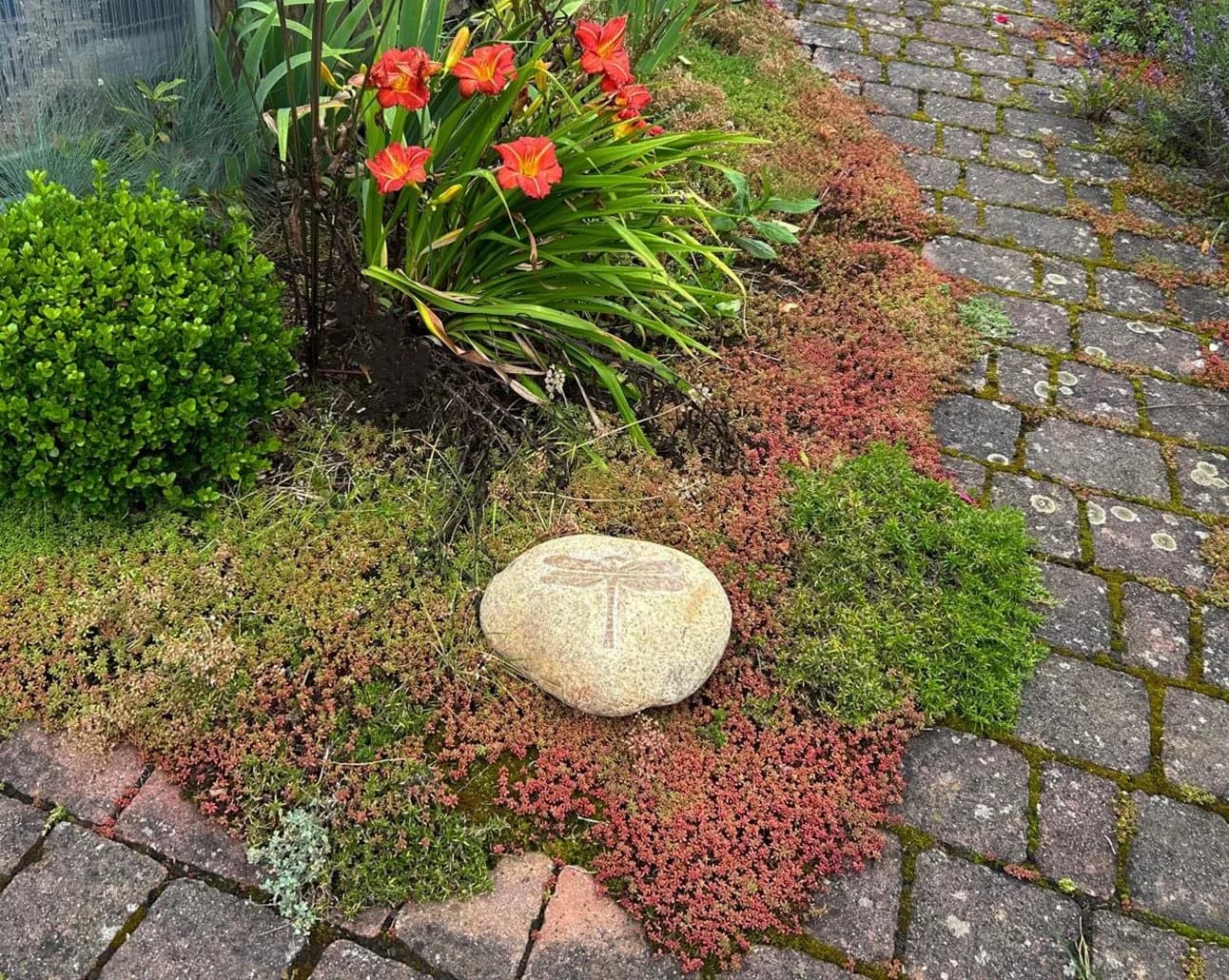 Kobolo Dekostein DRAGONFLY Naturstein Grau Dekoobjekt Garten