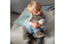 Sterntaler® Kuscheltier Emmi Plüschesel Blau Grau 37 cm Bild 3