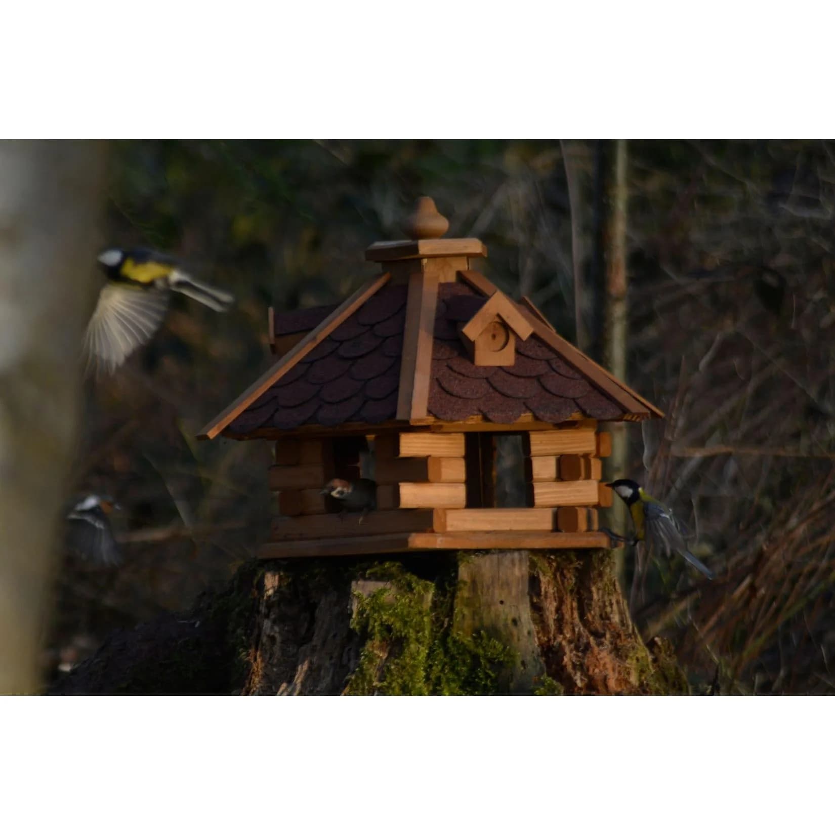 Dobar Rustikales XL-Vogelfutterhaus Blockhaus-Stil mit 6 Einfluglöchern
