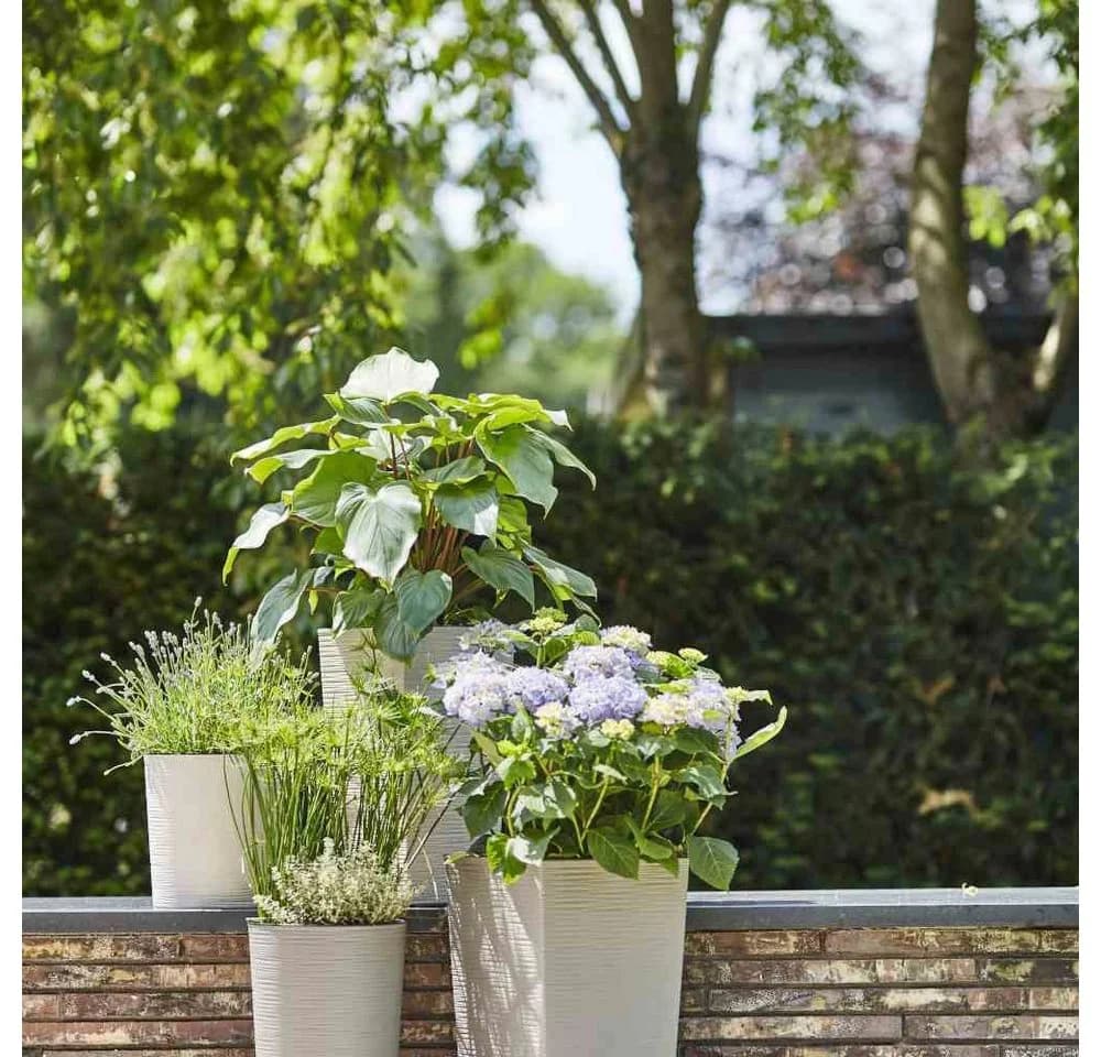 Siena Garden Pflanzkübel ECO Serie Rillenoptik Rund Kunststoff