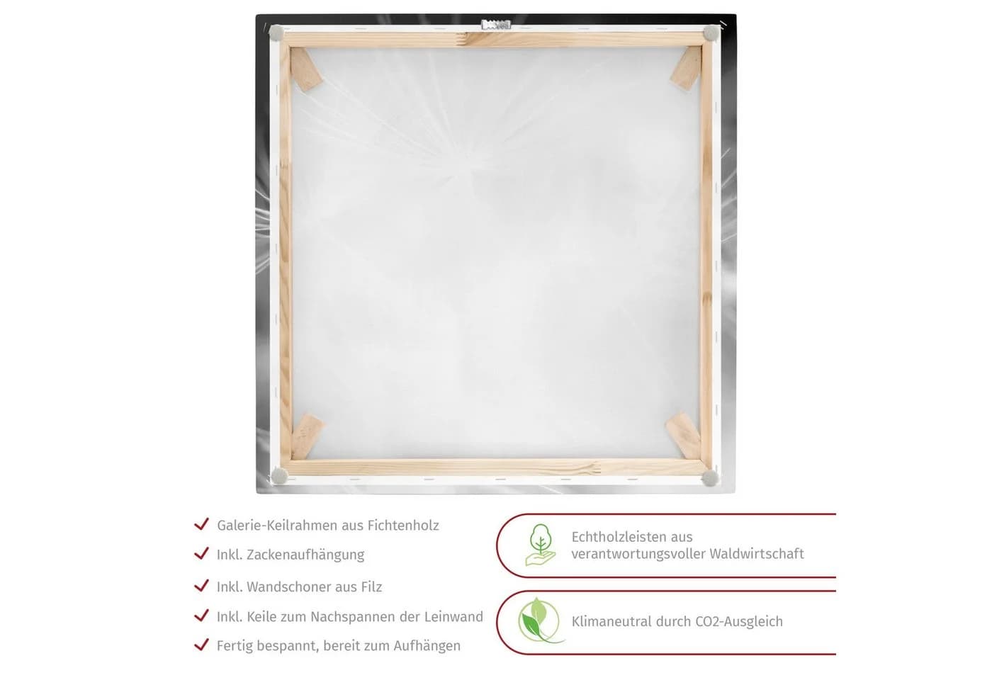Bilderdepot24 Leinwandbild Pusteblumen Schwarz-Weiß Modern - Bild 4