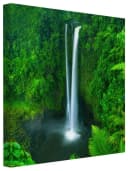 Bilderdepot24 Leinwandbild Wald Natur Landschaft Modern Wasserfall grün Bild 2