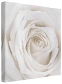 Bilderdepot24 Leinwandbild Rose Weiß Modern Bild 2