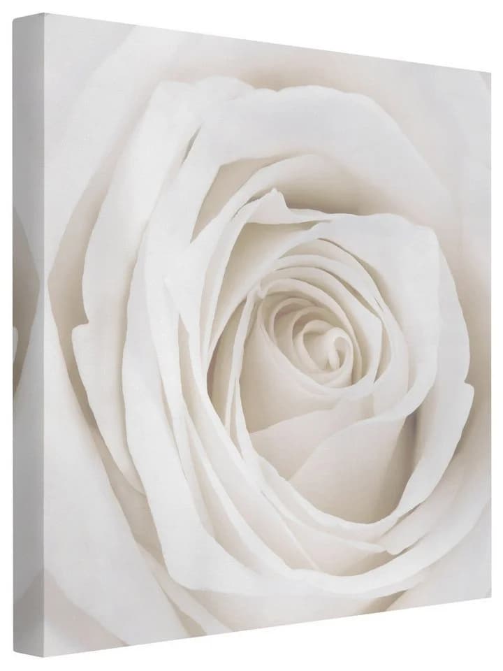 Bilderdepot24 Leinwandbild Rose Weiß Modern - Bild 2