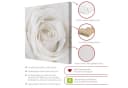 Bilderdepot24 Leinwandbild Rose Weiß Modern Bild 3