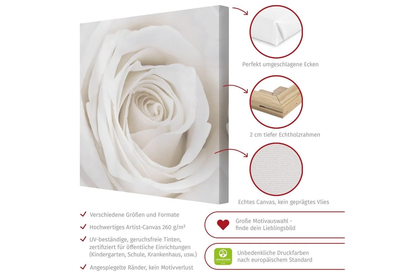 Bilderdepot24 Leinwandbild Rose Weiß Modern - Bild 3