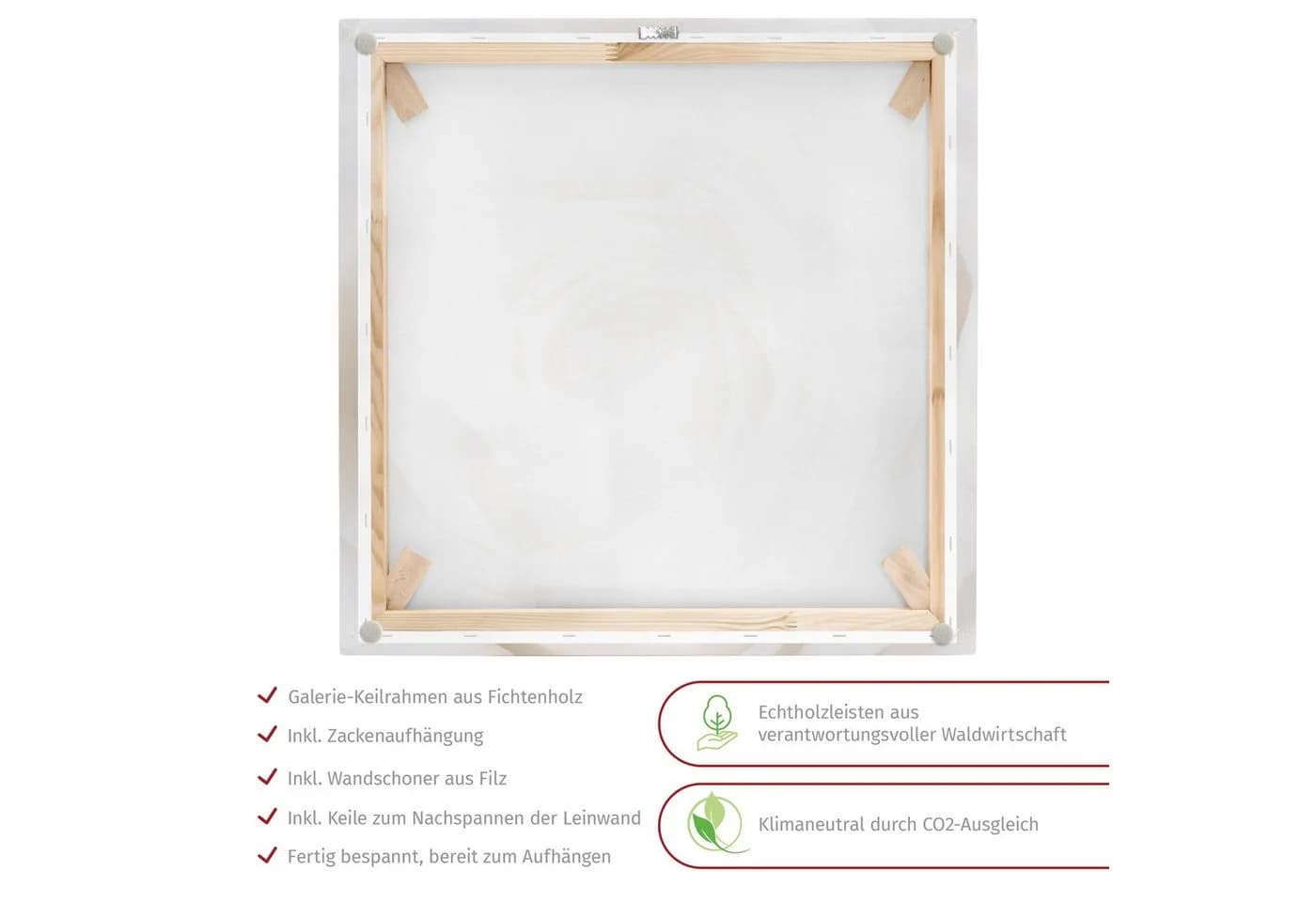 Bilderdepot24 Leinwandbild Rose Weiß Modern - Bild 4
