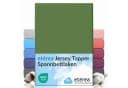 etérea Comfort Jersey Spannbettlaken Grün Rundumgummi Bild 2