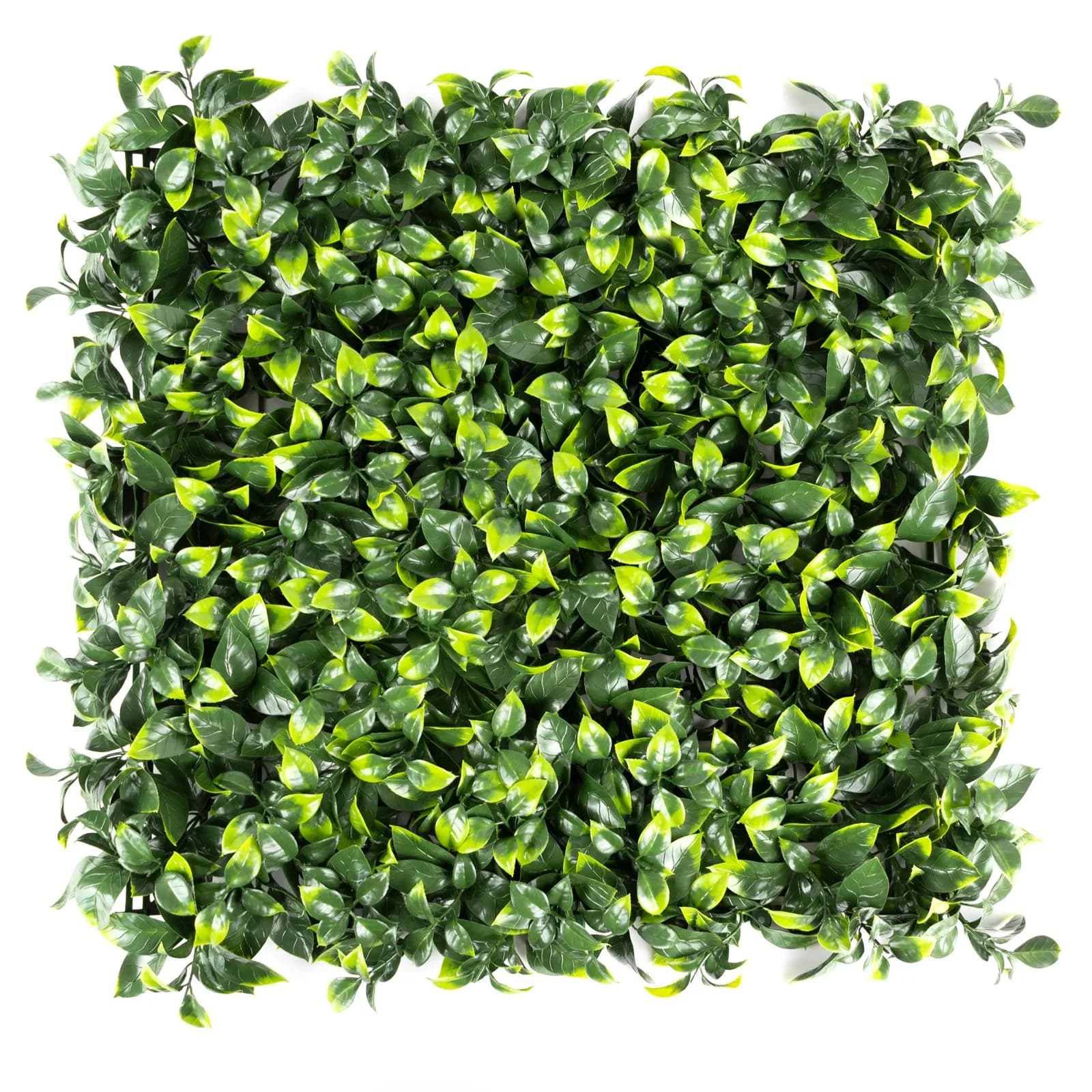 PRIMAFLOR Kunstpflanze Pflanzenwand 50x50cm Grün Ilex