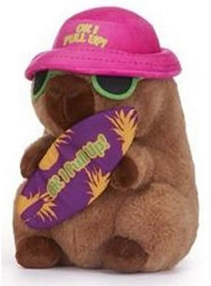 soma Capybara Plüschtier 25cm mit Surfbrett Spruch Ok I Pull Up - Bild 3
