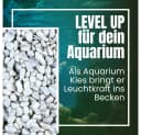 GarPet Carrara Weiß Marmorkies 25 kg Zierkies Garten Aquarium Bild 5
