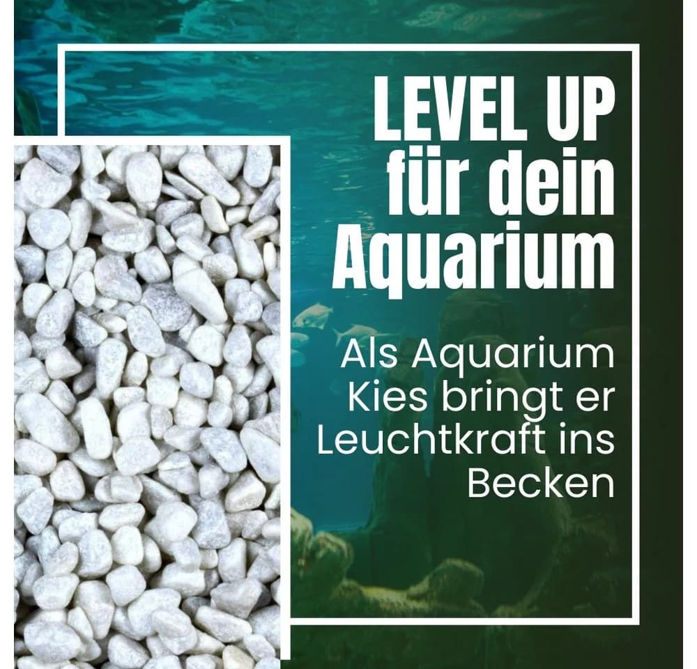 GarPet Carrara Weiß Marmorkies 25 kg Zierkies Garten Aquarium - Bild 5