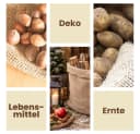 GarPet Jutesack 85x50 cm robust mit Heraklesnaht Bild 4