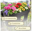GarPet Balkonkasten 2er Set Anthrazit mit Wasserspeicher Bild 5