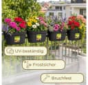 GarPet Balkonkasten 4er Set Anthrazit mit Wasserspeicher Bild 5