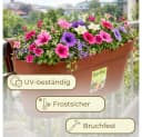 GarPet Balkonkasten 4er Set mit Wasserspeicher Terracotta Bild 5