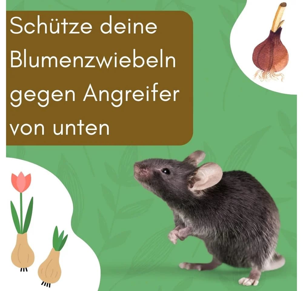 GarPet Pflanzkörbe 12er Set Grün Wühlmausschutz für Blumenzwiebeln - Bild 3