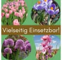 GarPet Pflanzkörbe 12er Set Grün Wühlmausschutz für Blumenzwiebeln Bild 4