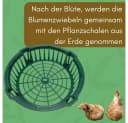 GarPet Pflanzkörbe 12er Set Grün Wühlmausschutz für Blumenzwiebeln Bild 5