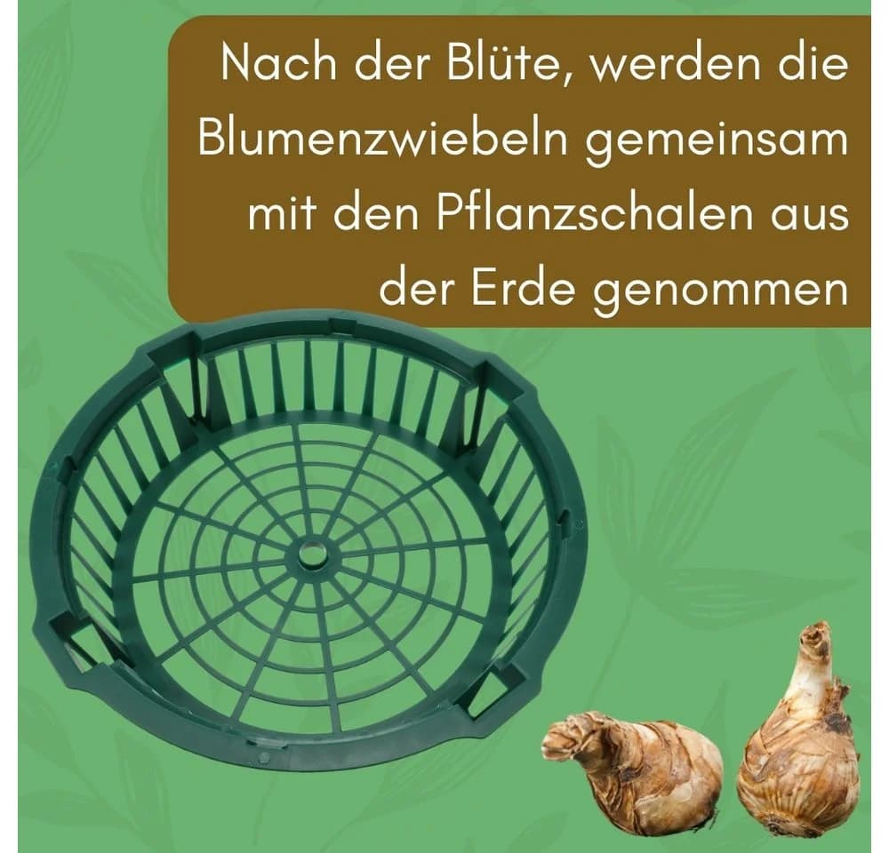 GarPet Pflanzkörbe 12er Set Grün Wühlmausschutz für Blumenzwiebeln - Bild 5