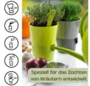 GarPet Kräutertopf 4er Set Selbstbewässernd Anthrazit Bild 4