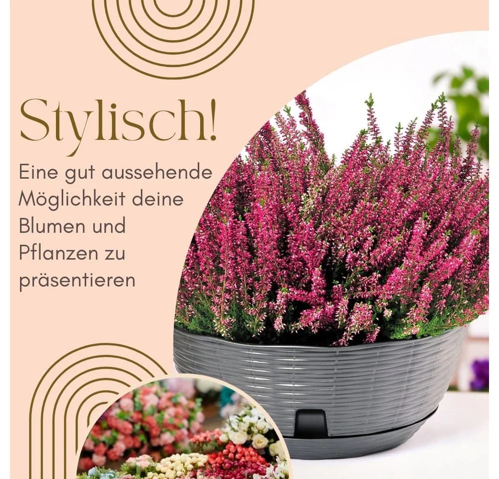 GarPet Pflanzschale 2er Set Anthrazit mit Gießschacht - Bild 3