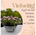 GarPet Pflanzschale 2er Set Anthrazit mit Gießschacht Bild 5
