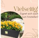 GarPet Balkonkasten 4er Set Anthrazit mit Wasserspeicher Bild 5